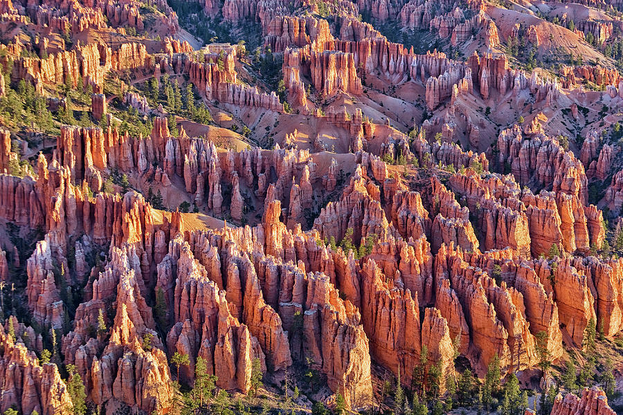 United States, Utah, Bryce Canyon National Park, Colorado Plateau, View Over The Hoodoos In Bryce Canyon #2 Digital Art by Marco Simoni