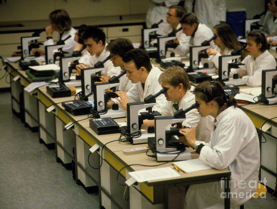 University Photograph - University Medical Students In Microbiology Lesson #2 by Maximilian Stock Ltd/science Photo Library