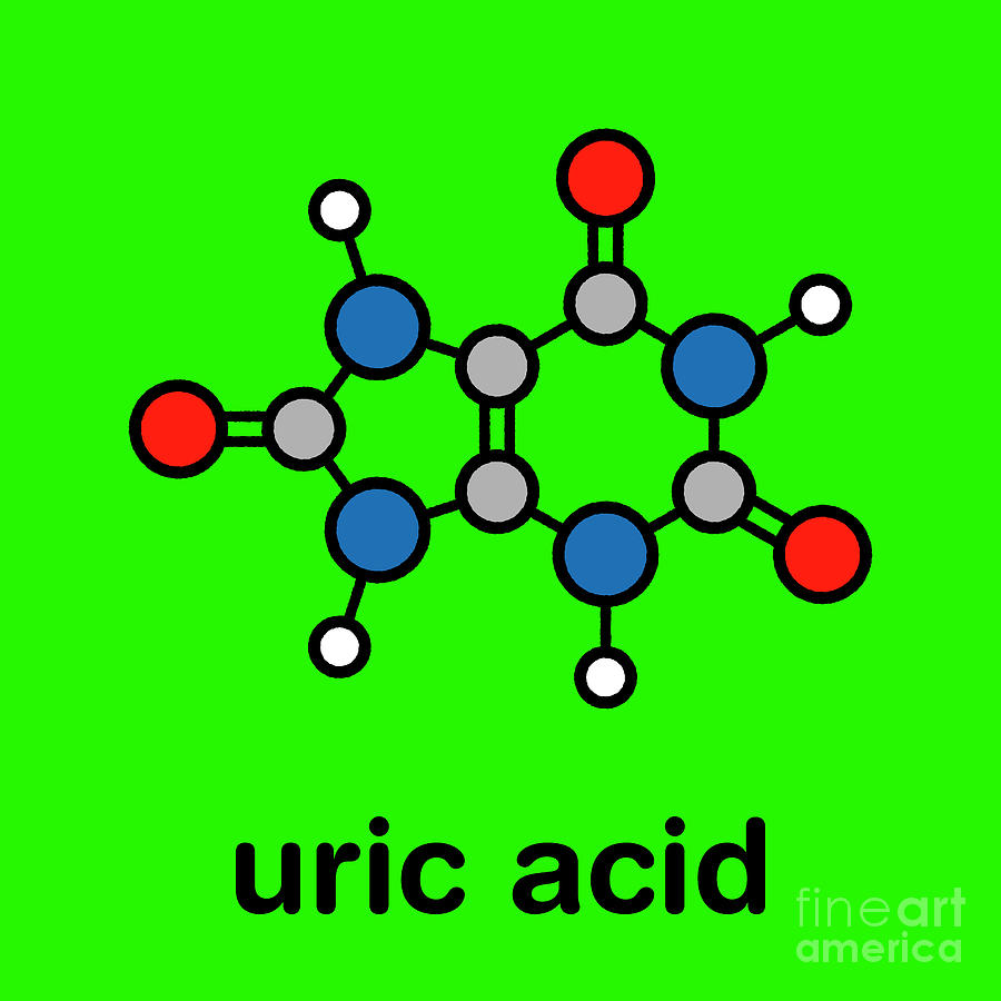 Uric Acid Molecule #2 Photograph by Molekuul/science Photo Library