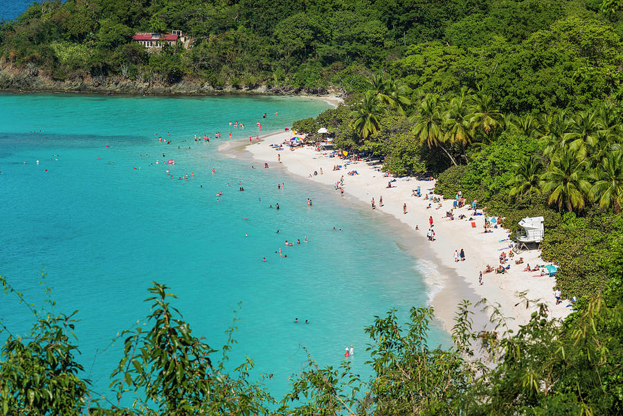 Us Virgin Islands, St John Trunk Bay Photograph by Walter Bibikow ...