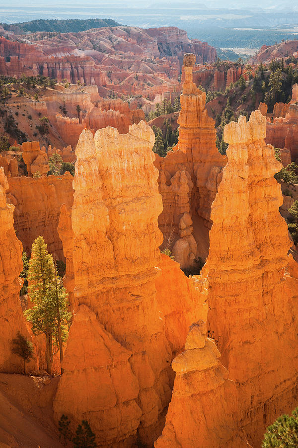 Usa, Utah, Bryce Canyon, Natl. Park #2 Digital Art by Tim Draper