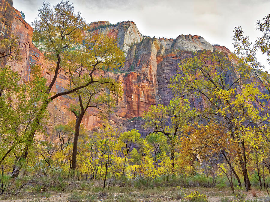Fall Photograph - Utah, Capitol Reef National Park #2 by Jamie and Judy Wild