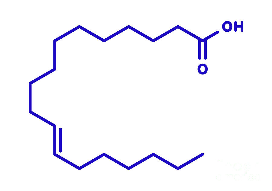 Vaccenic Acid Molecule Photograph by Molekuul/science Photo Library ...