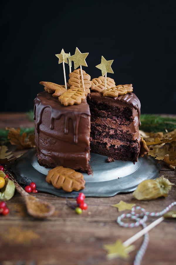 Vegan Chocolate Gingerbread Layer Cake #2 Photograph by Lucy Parissi
