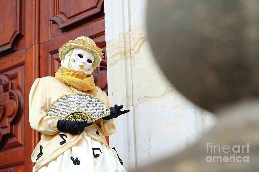 Venetian carnival #2 Photograph by Gregory DUBUS