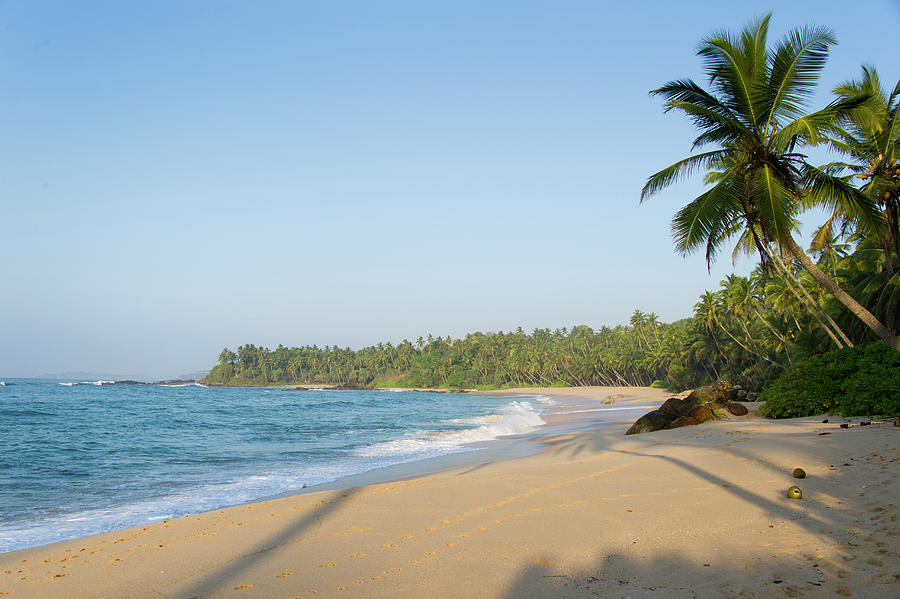 View Of Beach And Palm Trees In Tangalle, Hambantota District, Sri ...