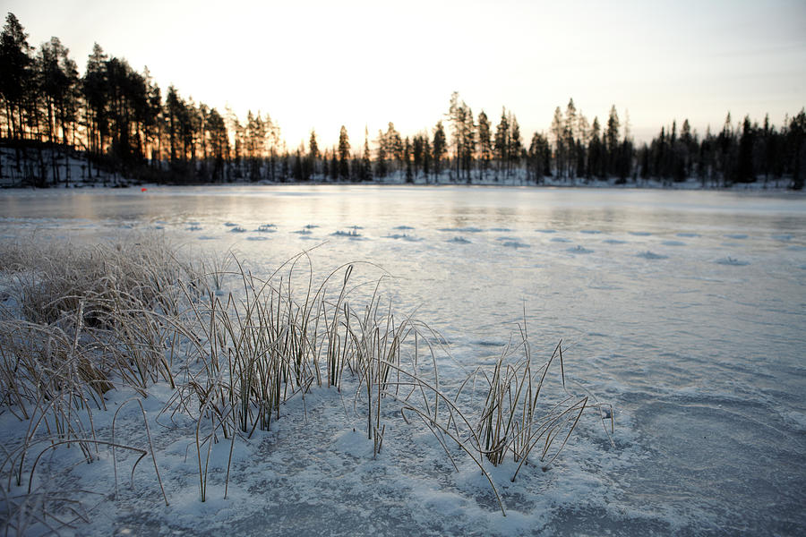 View Of Frozen Landscape Of Lapland At Sunset, Finland #2 Photograph by Jalag / Dick Sullivan
