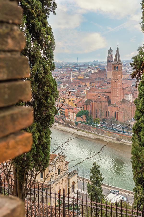 View of Verona #2 Photograph by Vivida Photo PC