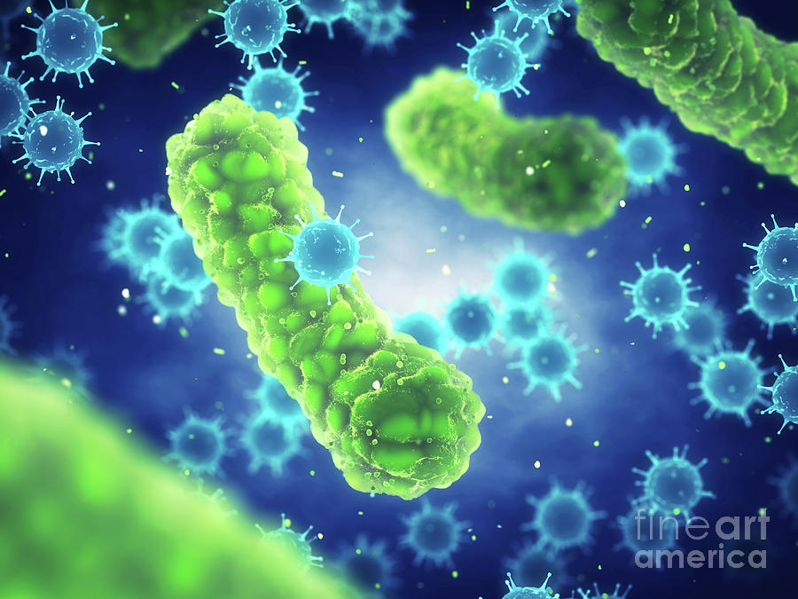 3d Photograph - Viral And Bacterial Infection #2 by Nobeastsofierce/science Photo Library