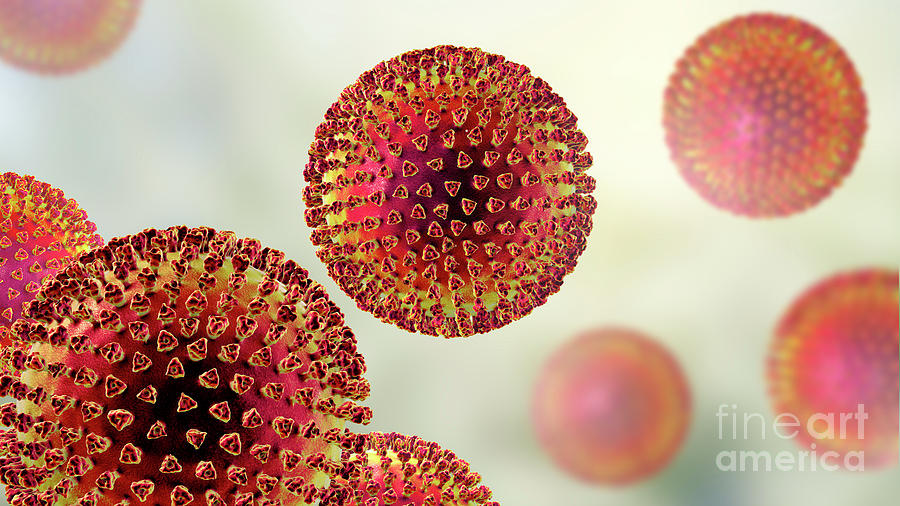 Virus Particles #2 Photograph by Kateryna Kon/science Photo Library