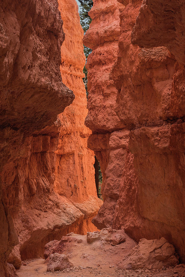 Bryce Canyon National Park Photograph - Wall Street #3 by Ken Weber