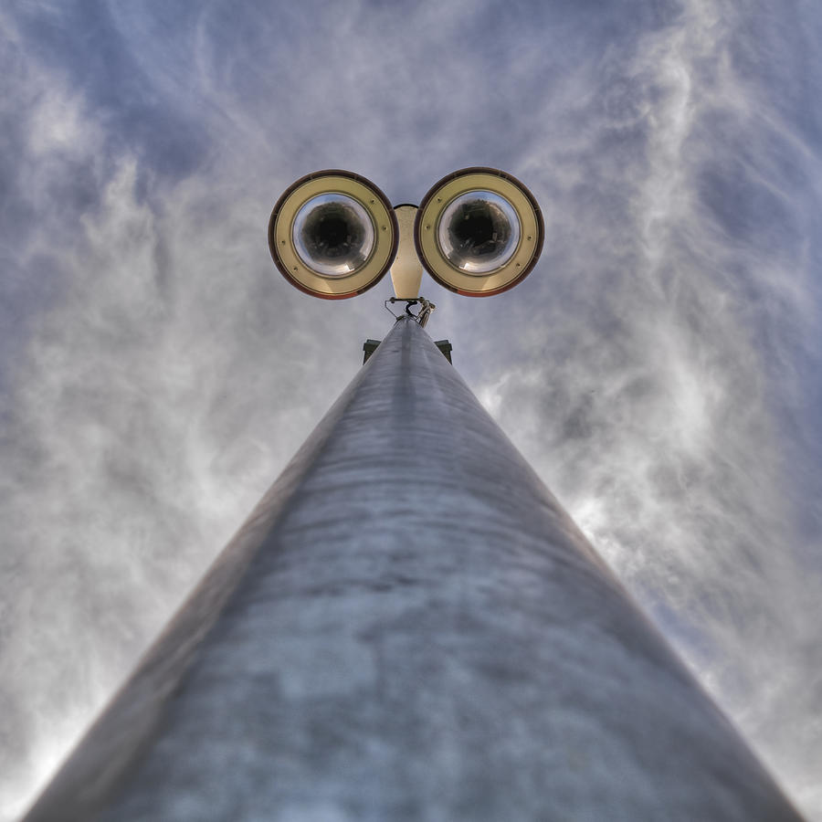 Watching You #2 Photograph by Thomas Lenne