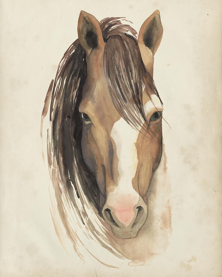 Watercolor Animal Study V #2 Painting by Grace Popp