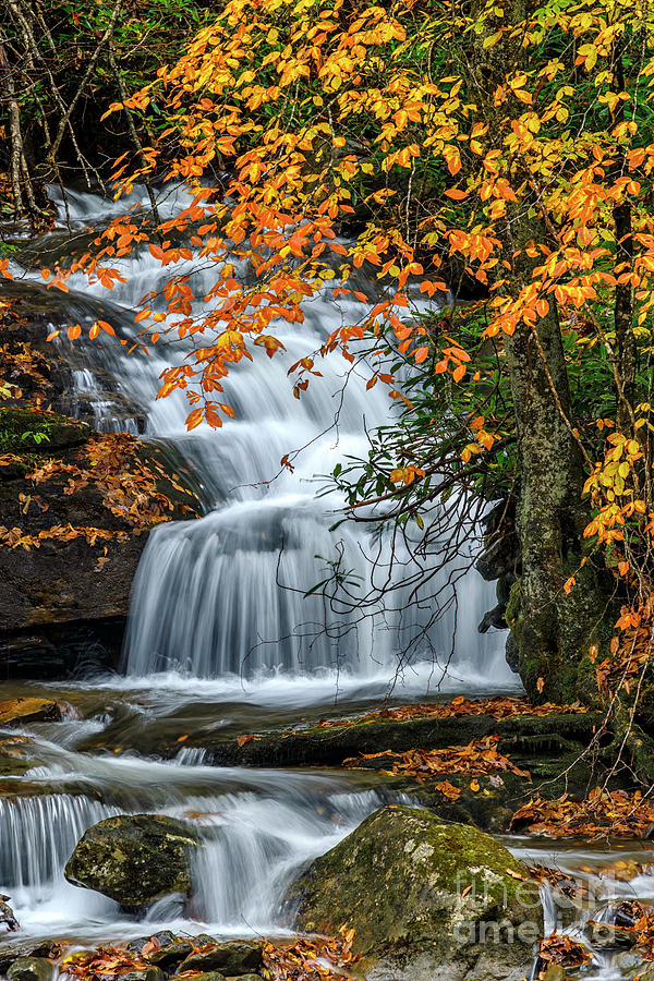 Waterfall and Fall Color #2 Photograph by Thomas R Fletcher