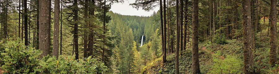 Horizontal Photograph - Waterfall In A Forest, North Falls by Panoramic Images Horizontal Photograph - Waterfall In A Forest, North Falls by Panoramic Images