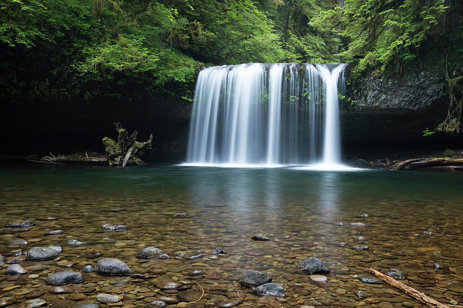 Waterfall In A Forest, Samuel H Photograph by Panoramic Images - Fine ...