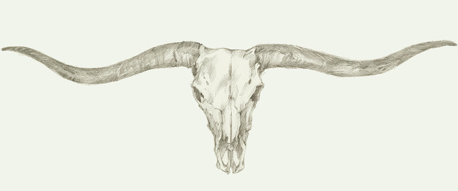 Animal Painting - Western Skull Mount IIi #2 by Ethan Harper
