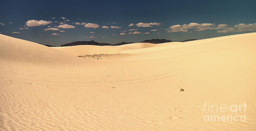 White Sands landscape #3 Photograph by Jeff Swan