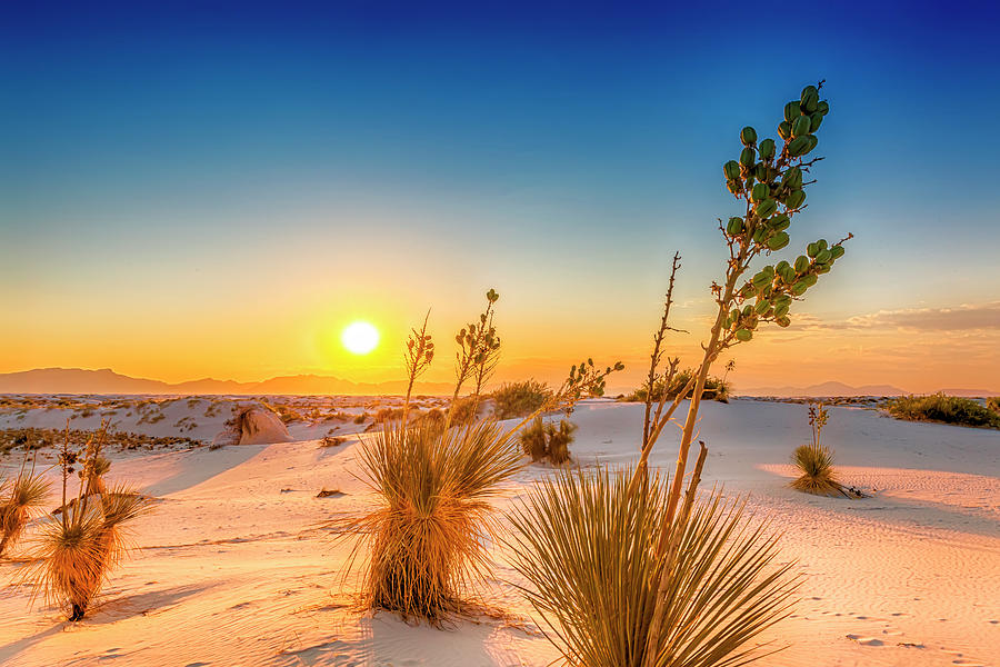 White Sands Sunset Photograph By Melanie Viola