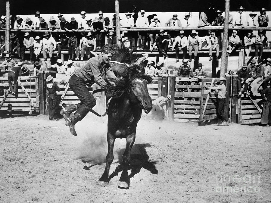 Wild Horse Auction And Rodeo Photograph by Bettmann