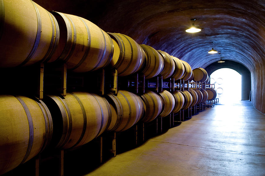 Wine Cave With Oak Barrels In Napa #2 Photograph by Seanfboggs