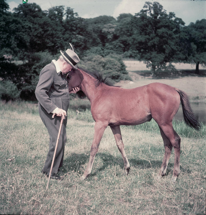 Politician Photograph - Winston Churchill At Chartwell #2 by Mark Kauffman