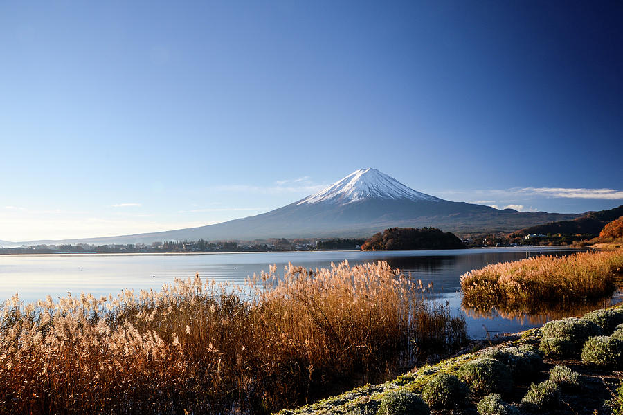 Winter Fuji #2 by I Love Photo And Apple.