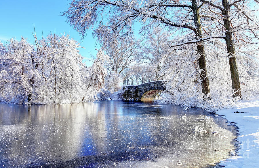 Winter in Boston's Franklin Park Photograph by Denis Tangney Jr - Fine ...