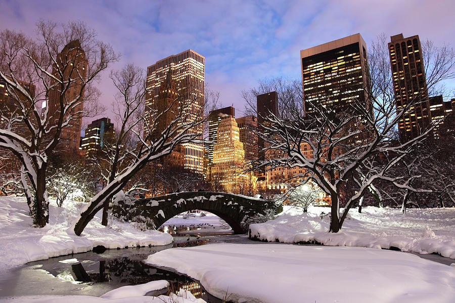 Winter In New York City Photograph by Denistangneyjr