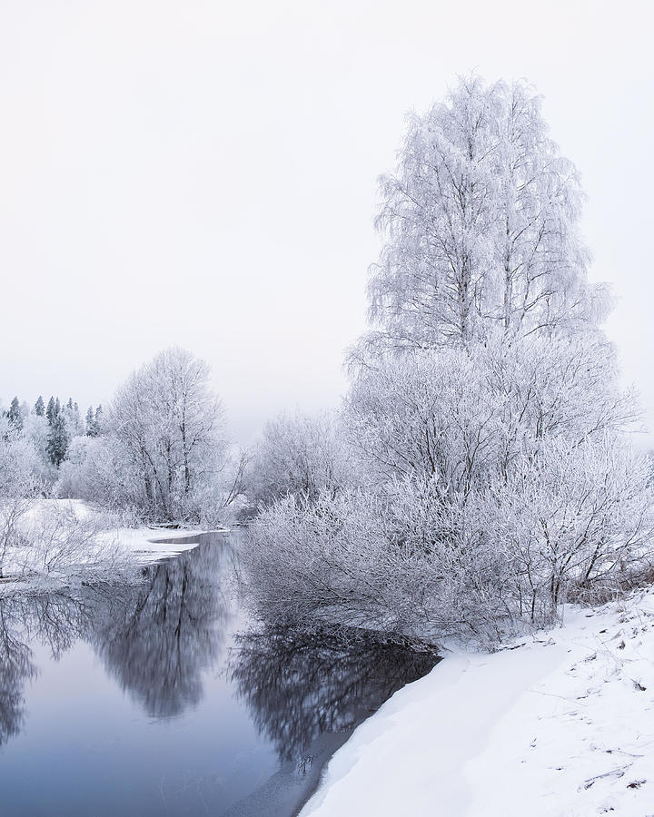 Winter Photograph - Winter Landscape With Frosty Trees #2 by Jani Riekkinen