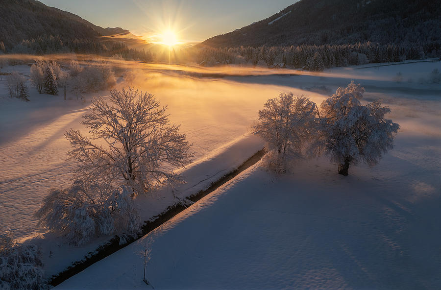 Winter Morning #2 Photograph by Ales Krivec