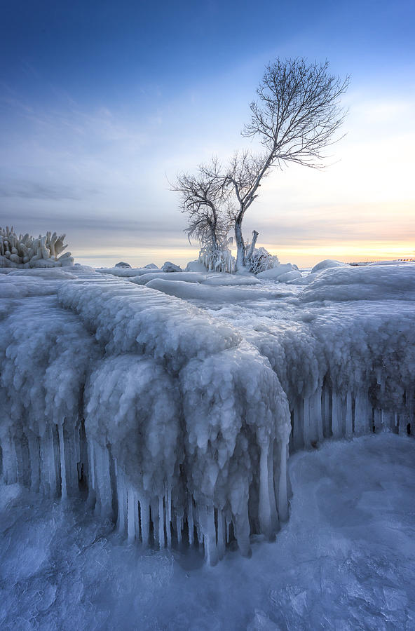 Winter Photograph - Winter Wonderland #2 by Larry Deng