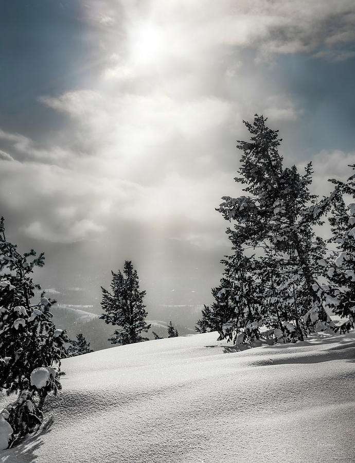 Winter Wonderland #2 Photograph by Leland D Howard