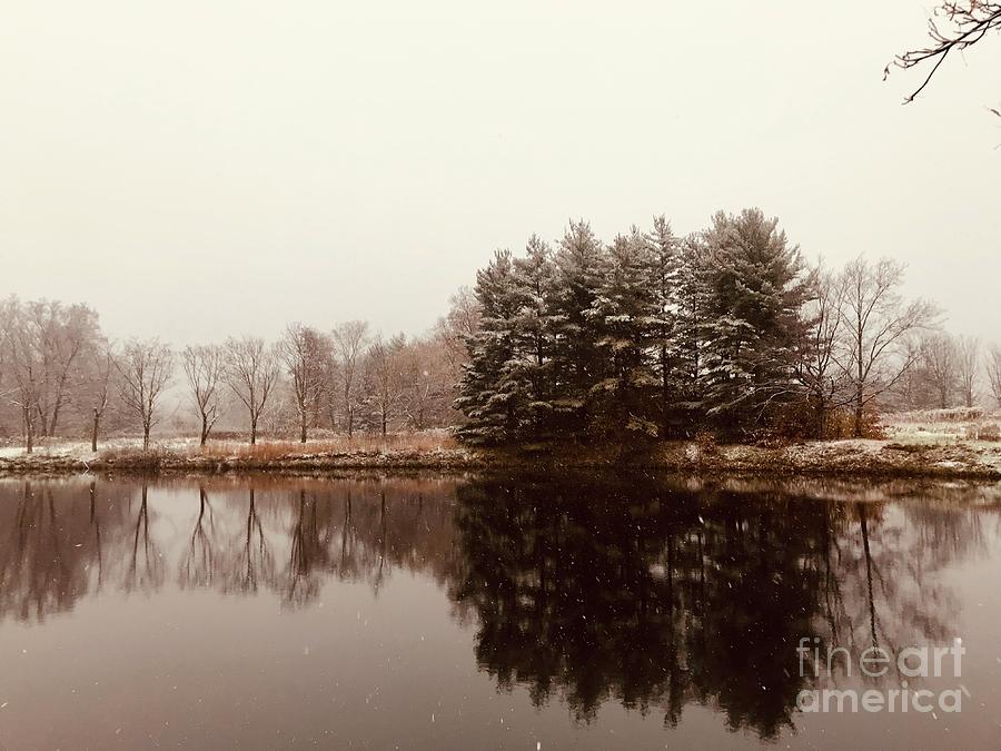 Winter Wonderland  #3 Photograph by Michael Krek