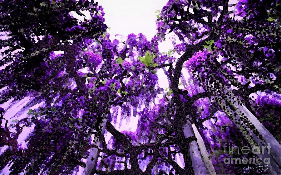 Wisteria Dreams by Stefan Duncan Wisteria Dreams by Stefan Duncan