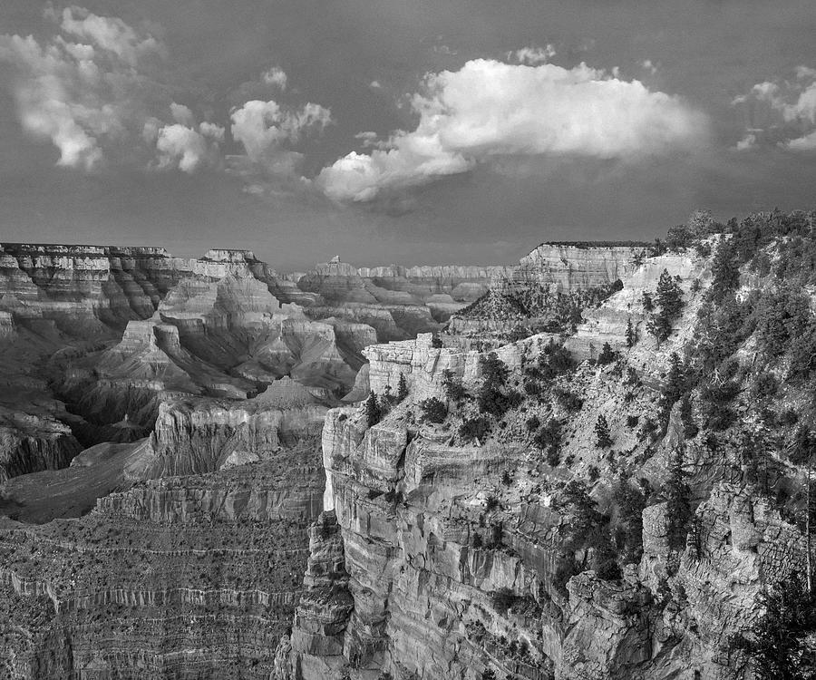 Wotans Throne, Grand Canyon #2 Photograph by Tim Fitzharris