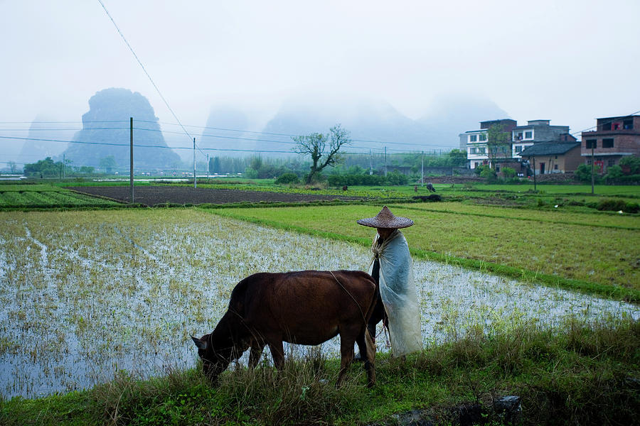 Yangshuo,guilin,guangxi #2 Photograph by Best View Stock