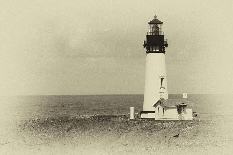 Yaquina Head Lighthouse #3 Photograph by Steve Estvanik