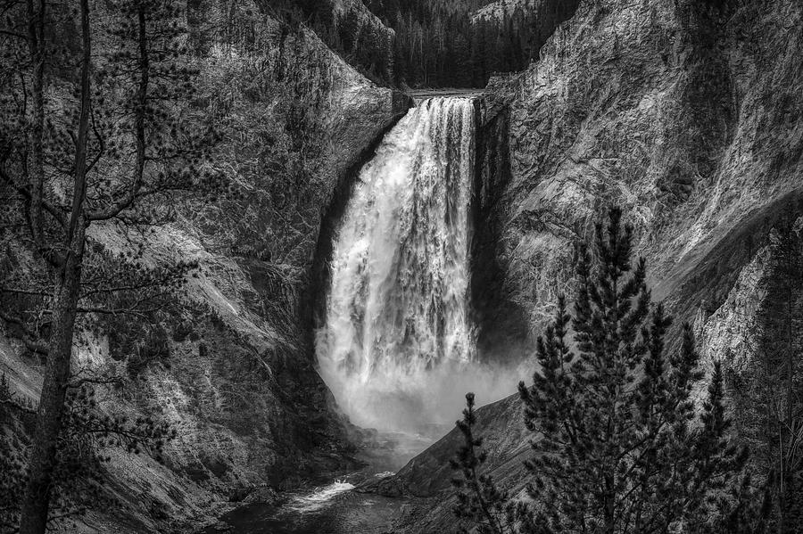 Yellowstone National Park Photograph - Yellowstones Lower Falls #2 by Mountain Dreams