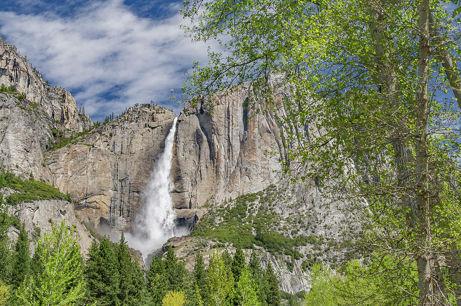 Yosemite Falls #2 Photograph by Jeff Foott