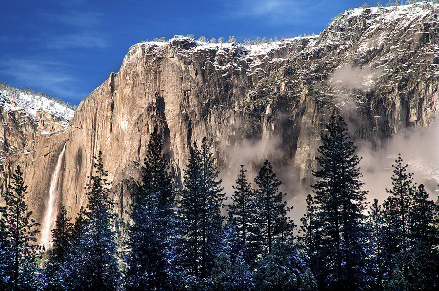 Yosemite National Park #2 Photograph by Mitch Diamond