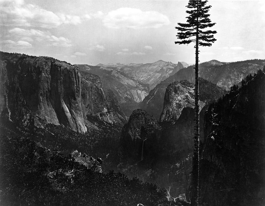 Yosemite Valley #2 by Carleton E. Watkins