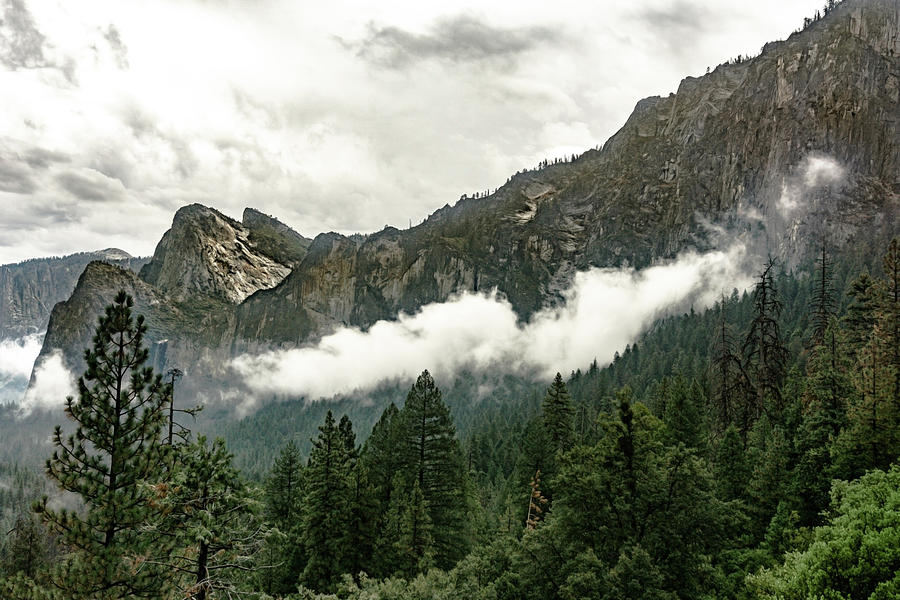 Yosemite Valley 8 Photograph by Silvia Marcoschamer