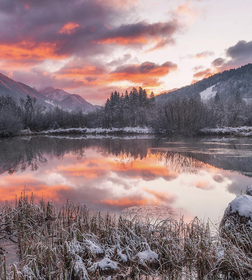 Zelenci Springs #2 Photograph by Ales Krivec