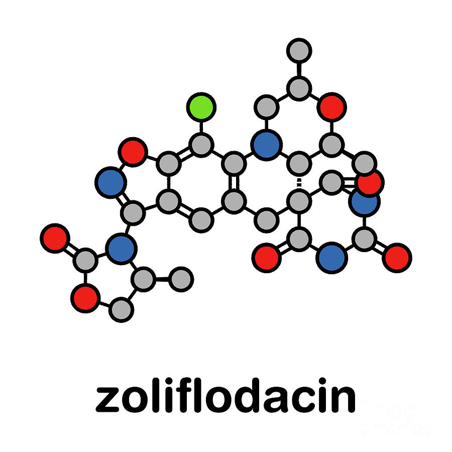 Antibiotic Photograph - Zoliflodacin Antibiotic Drug Molecule by Molekuul/science Photo Library Antibiotic Photograph - Zoliflodacin Antibiotic Drug Molecule by Molekuul/science Photo Library