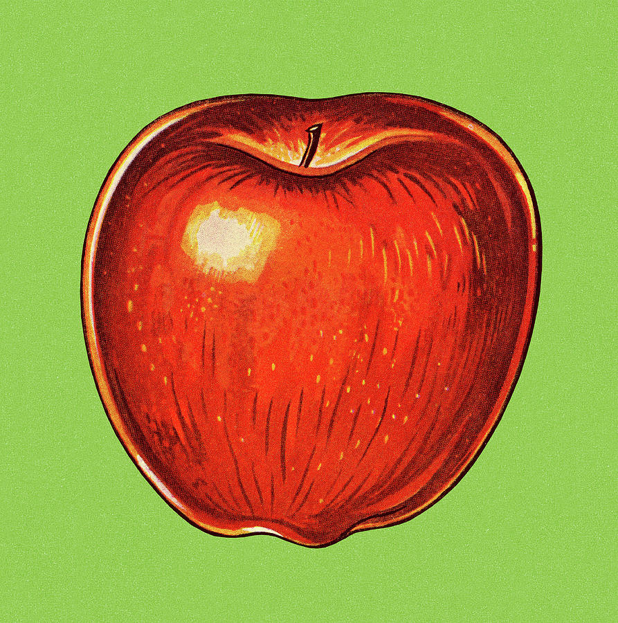 Vintage Drawing - Apple #20 by CSA Images