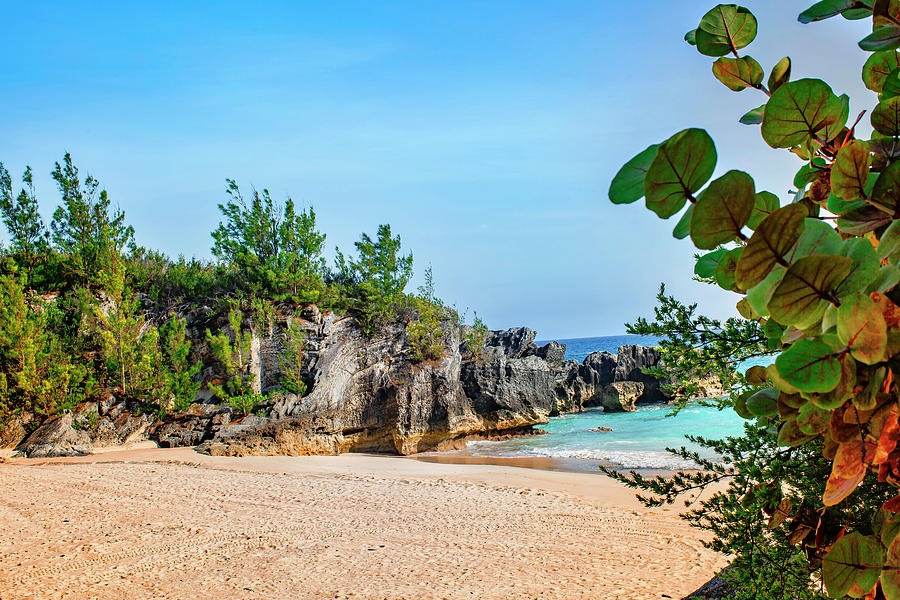 Beach, South Shore, Bermuda #20 Digital Art by Lumiere