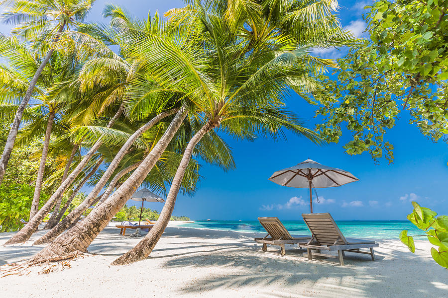  Beautiful Beach Landscape. Summer Photograph by Levente Bodo - Fine Art ...