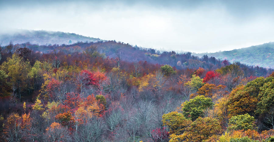 Blue Ridge And Smoky Mountains Changing Color In Fall #20 Photograph by Alex Grichenko