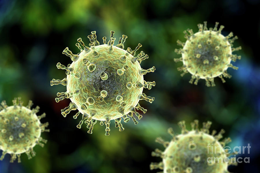 Chickenpox Virus #20 Photograph by Kateryna Kon/science Photo Library